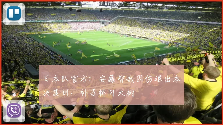 日本队官方：安藤智哉因伤退出本次集训，补召桥冈大树