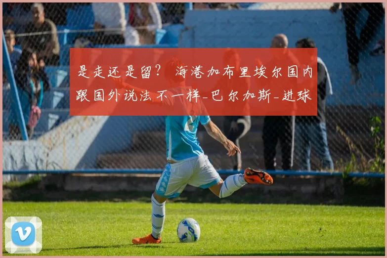 是走还是留？ 海港加布里埃尔国内跟国外说法不一样_巴尔加斯_进球_克劳德