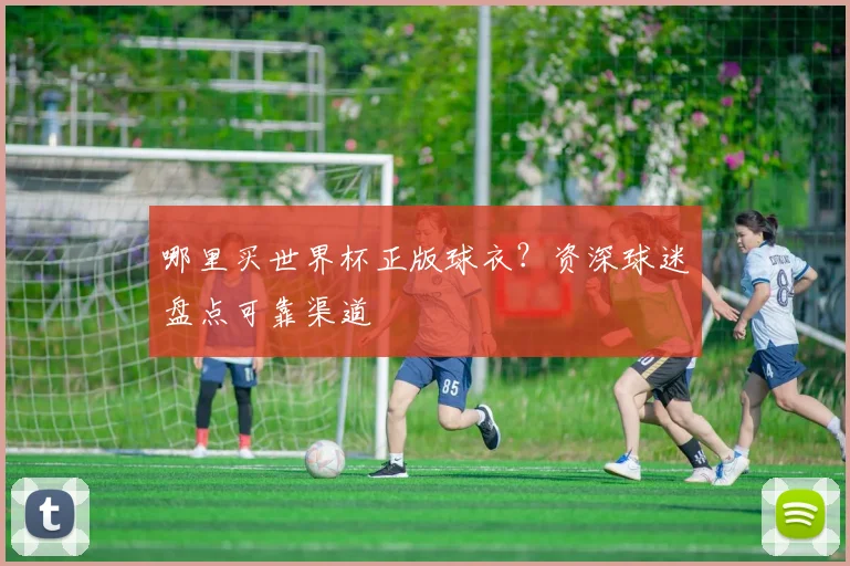 哪里买世界杯正版球衣？资深球迷盘点可靠渠道