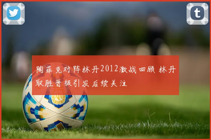 陶菲克对阵林丹2012激战回顾 林丹取胜晋级引发后续关注