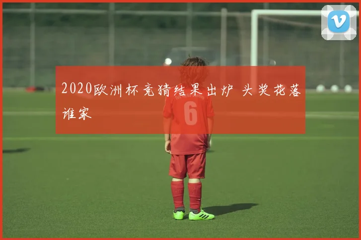 2020欧洲杯竞猜结果出炉 头奖花落谁家